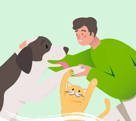 Mejores artículos para mascotas en Tiendanimal con promociones de hasta el 60%